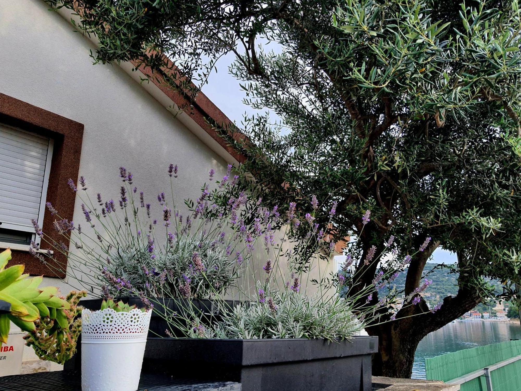 Villa Sunshine Baum Marina Exterior foto